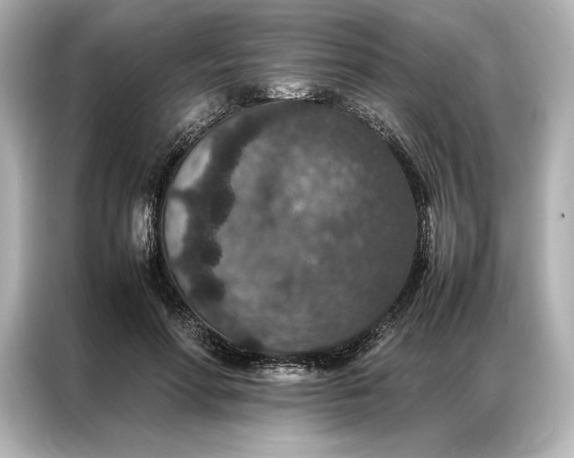 X0000086890598200704300958