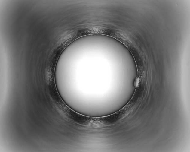 X0000086890599200704300958