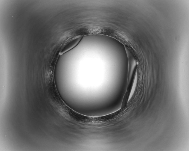 X0000086890601200704300958