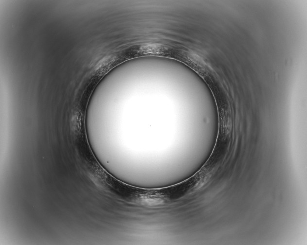 X0000086890603200704300958