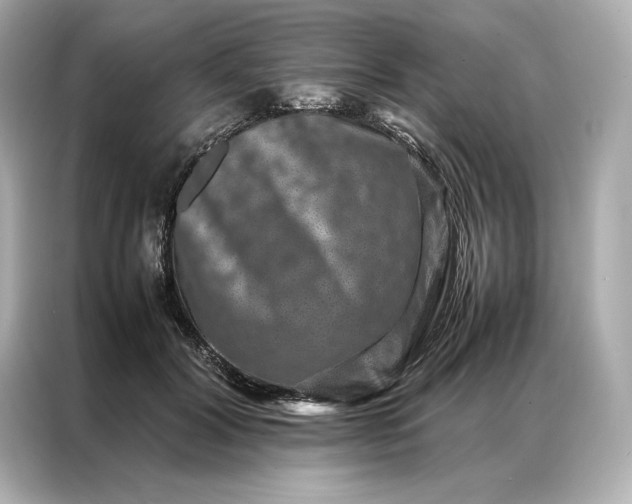 X0000086890604200704300958