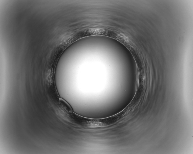 X0000086890605200704300958