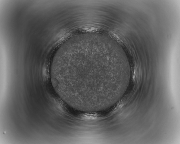 X0000086890606200704300958