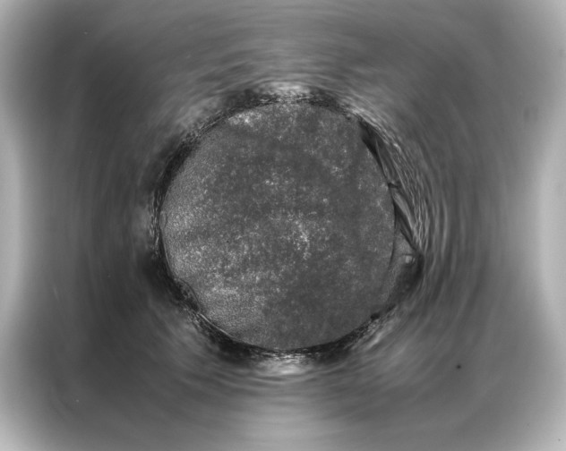 X0000086890609200704300958