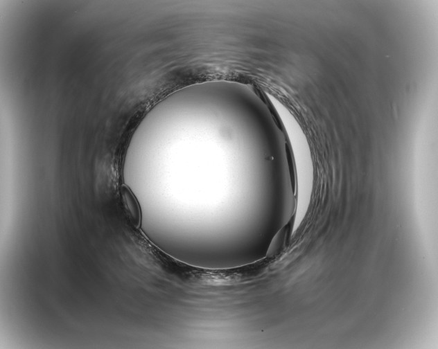 X0000086890613200704300958