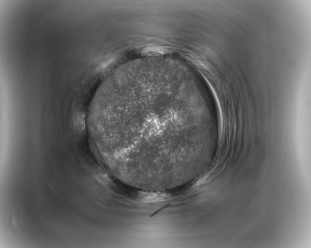 X0000086890621200704300958