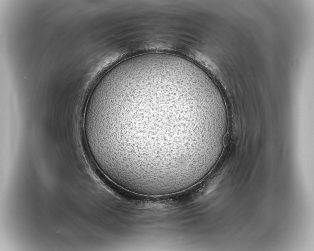 X0000086890625200704300957