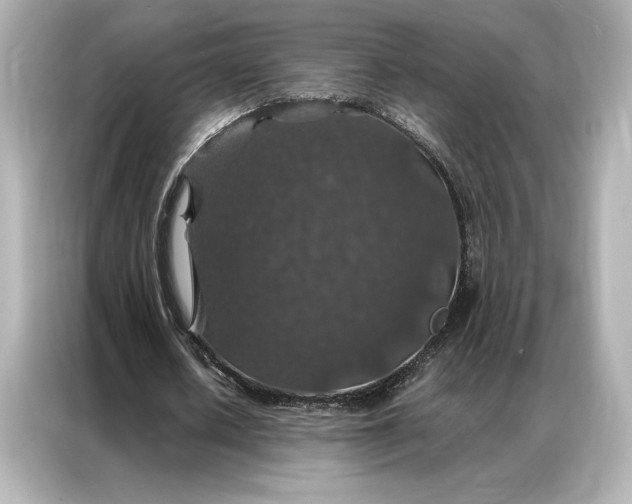 X0000086890626200704300957