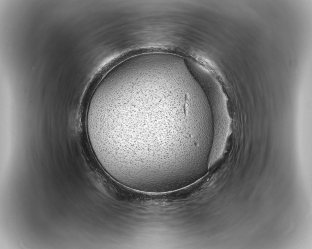 X0000086890628200704300957