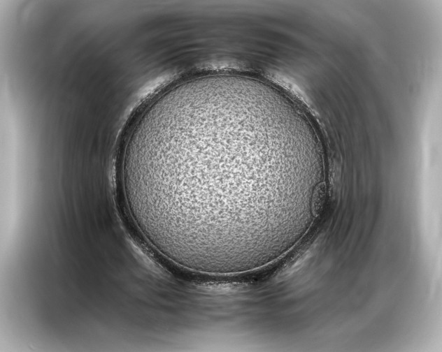 X0000086890629200704300957