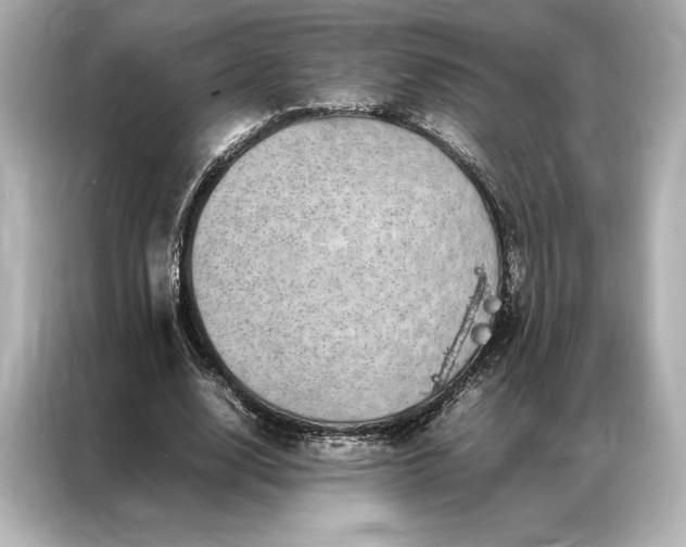 X0000086890632200704300957