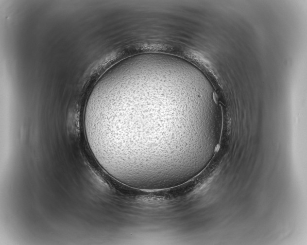 X0000086890633200704300957