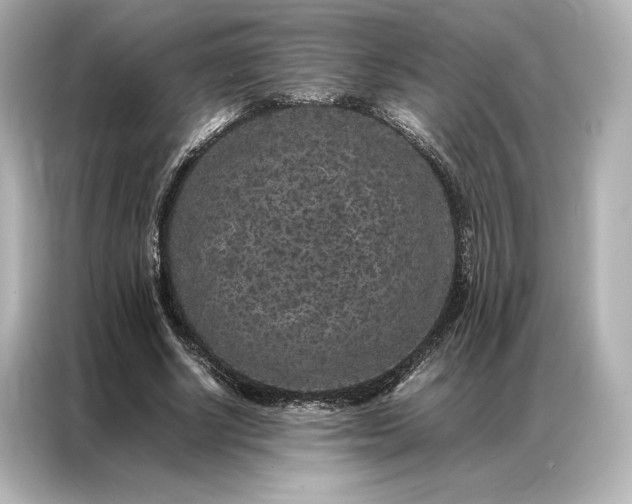 X0000086890634200704300957