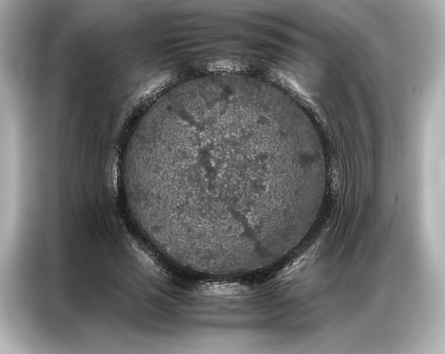 X0000086890637200704300957