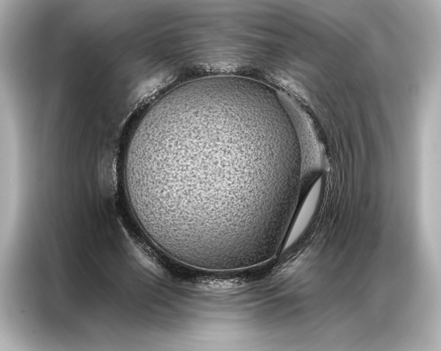 X0000086890638200704300957