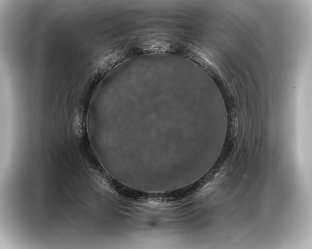 X0000086890641200704300957