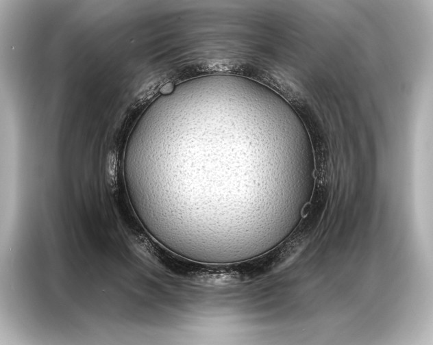 X0000086890646200704300958