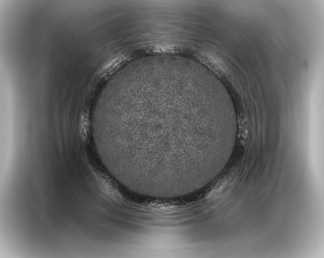 X0000086890648200704300958