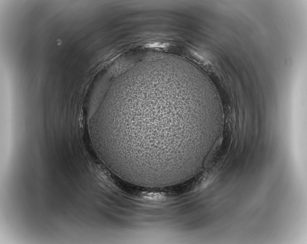 X0000086890649200704300958