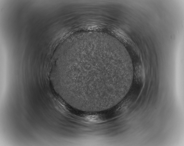 X0000086890653200704300958