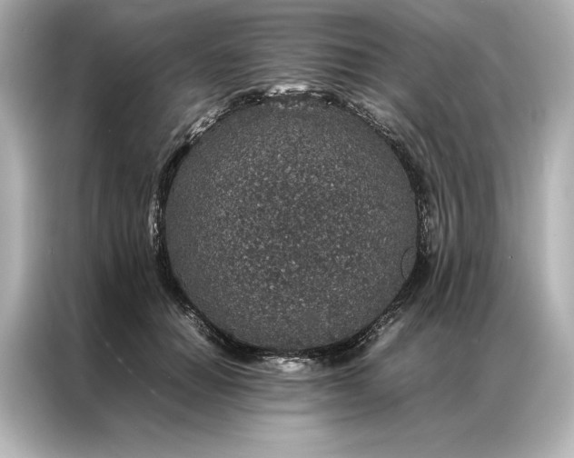 X0000086890654200704300958