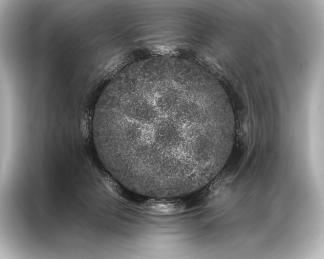 X0000086890658200704300958