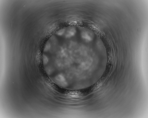 X0000086890659200704300958