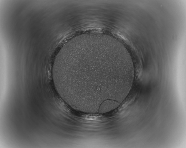 X0000086890661200704300958