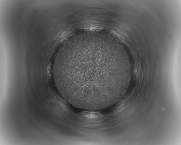 X0000086890663200704300958