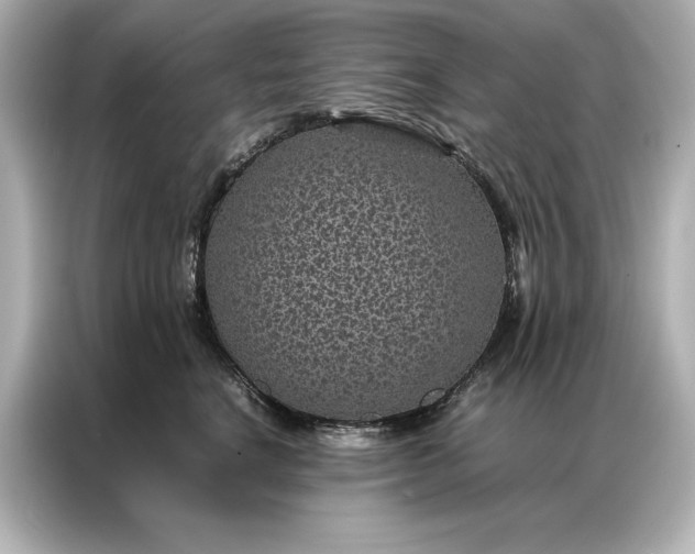 X0000086890664200704300958