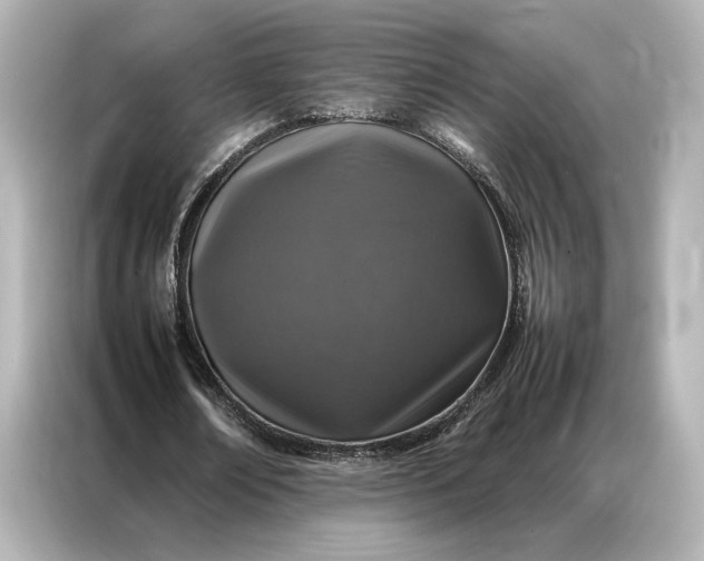 X0000086890674200704300957