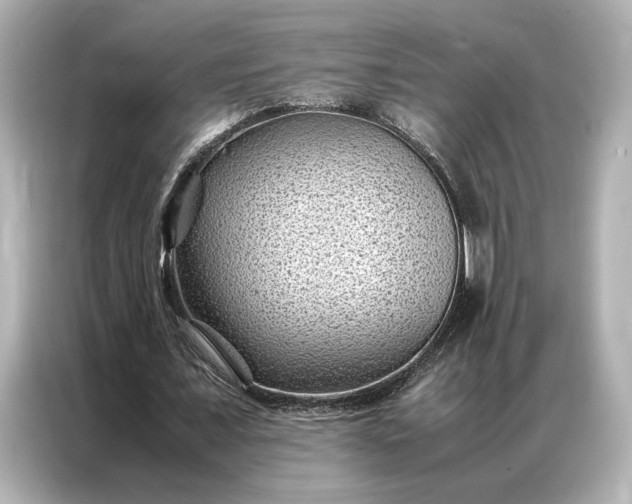 X0000086890675200704300957