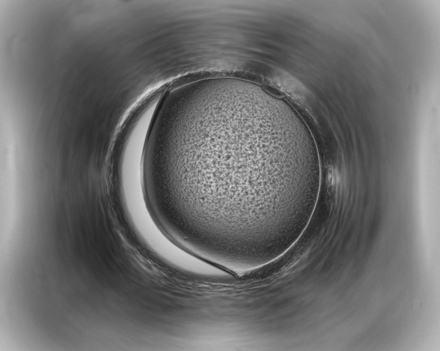 X0000086890676200704300957