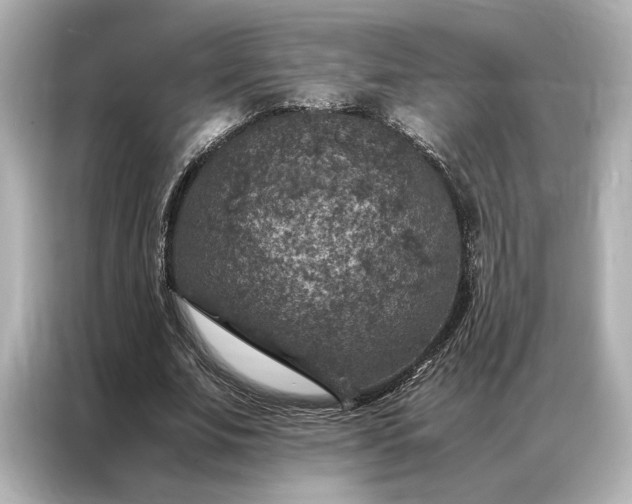 X0000086890679200704300957