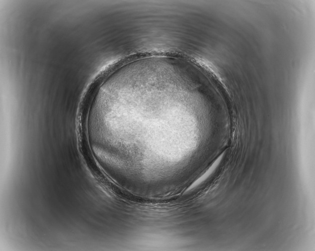 X0000086890680200704300957