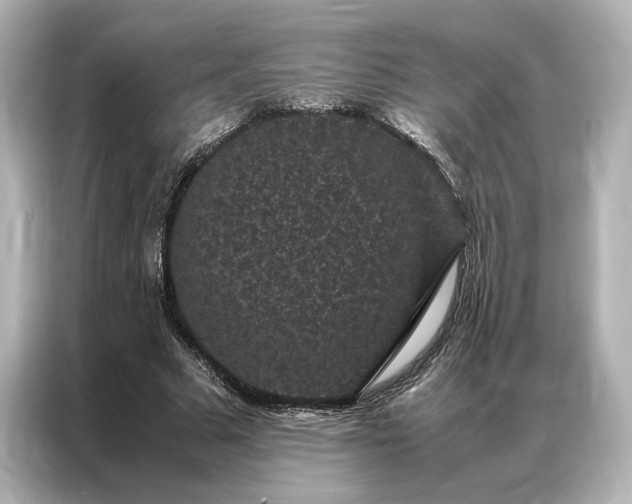 X0000086890681200704300957