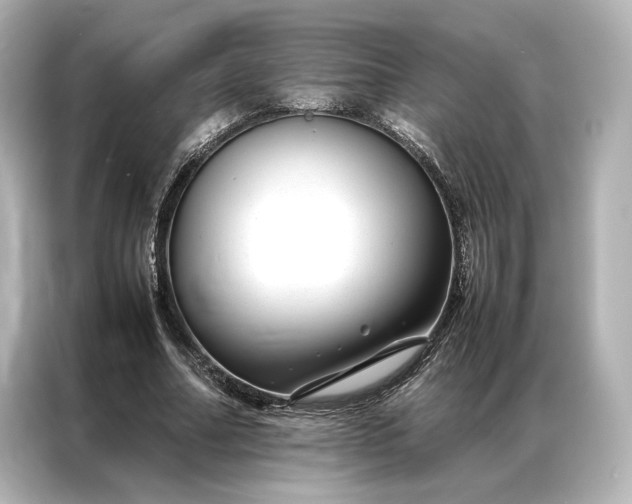 X0000086890682200704300957