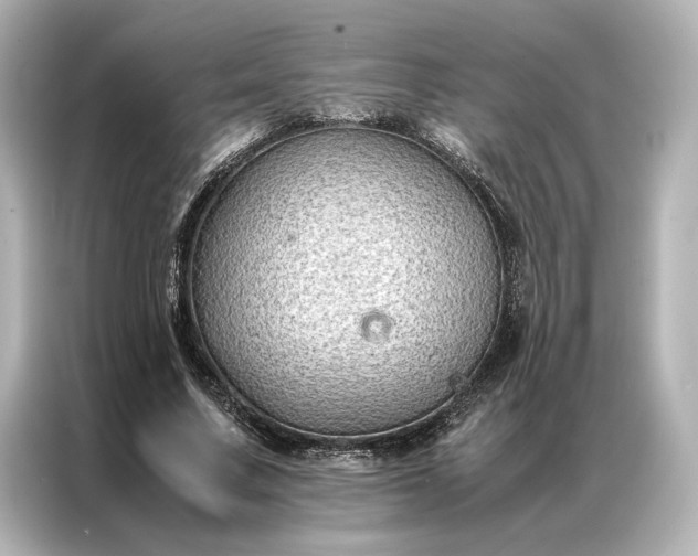 X0000086890683200704300957