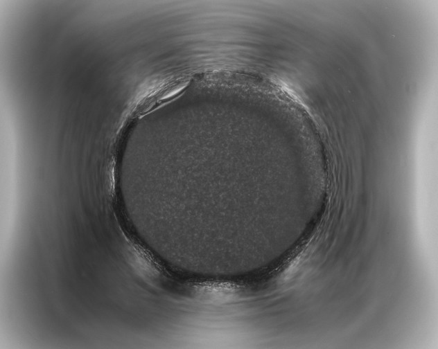 X0000086890685200704300957