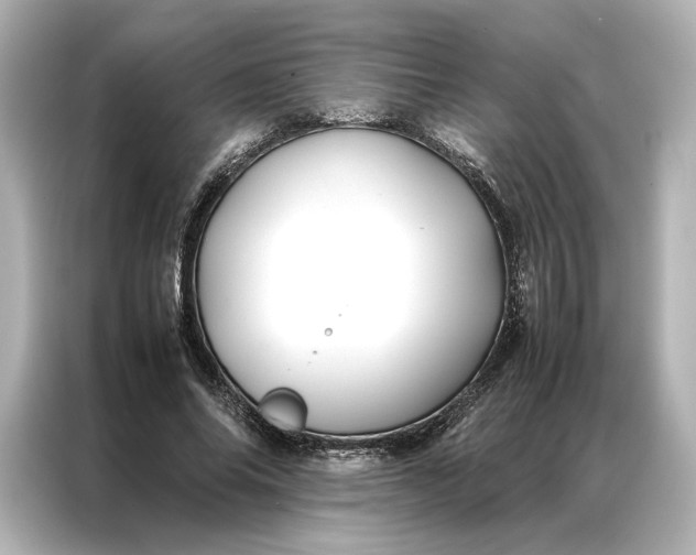 X0000086890686200704300957