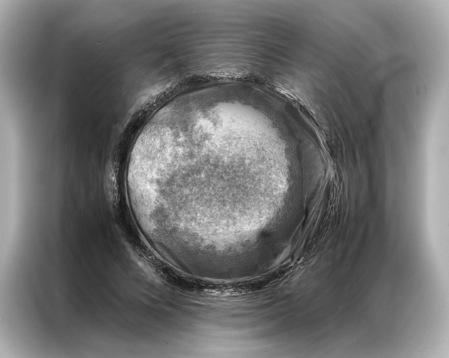 X0000086890688200704300957