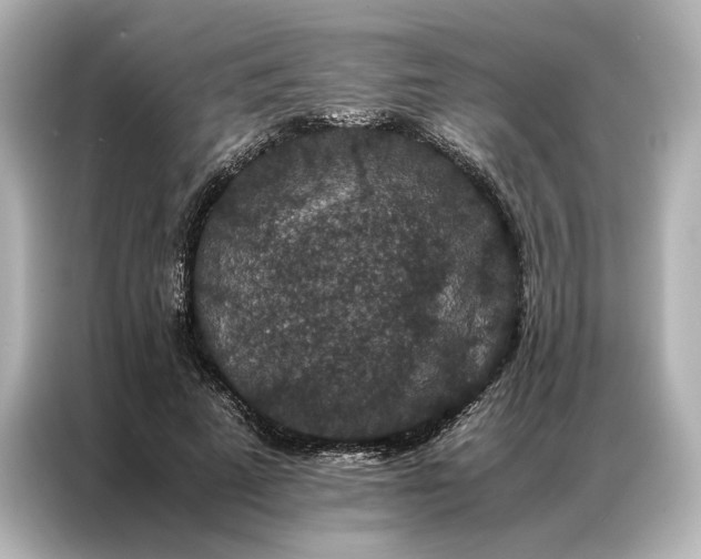 X0000086890689200704300957