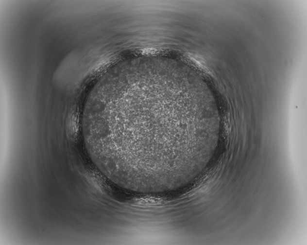 X0000086890691200704300957