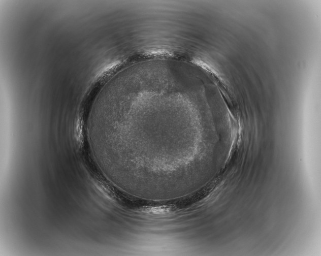 X0000086890692200704300957