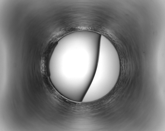 X0000086890696200704300957