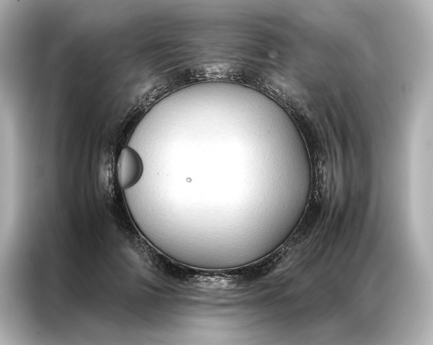 X0000086890698200704300957