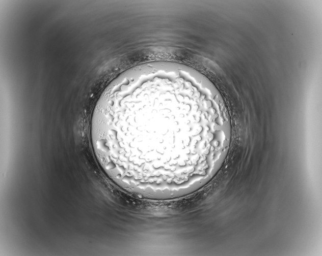 X0000086890701200704300957