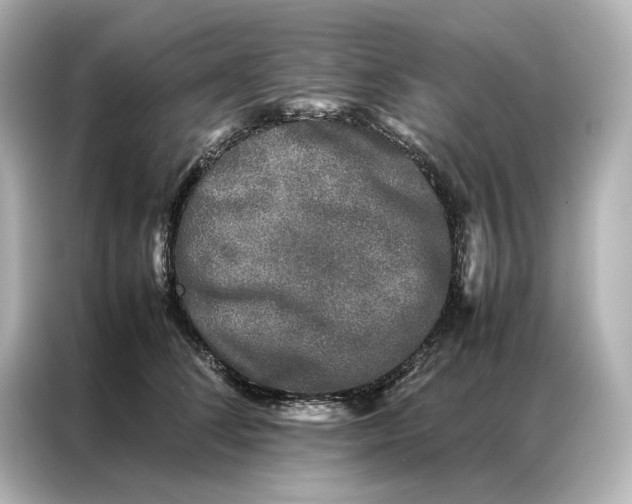 X0000086890708200704300957