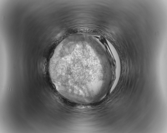 X0000086890712200704300957