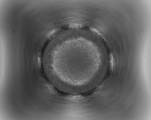 X0000086890716200704300957